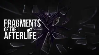 Fragments of the Afterlife