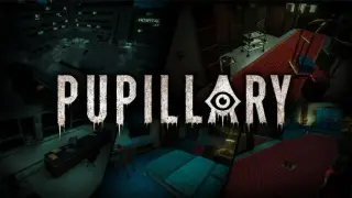PUPILLARY
