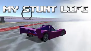 My Stunt Life
