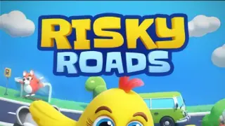 Risky Roads - Switch