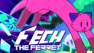 Fech The Ferret