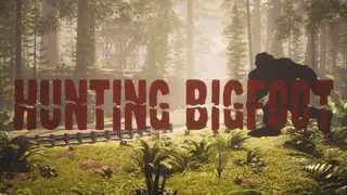 Hunting Bigfoot