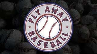 Fly Away Baseball