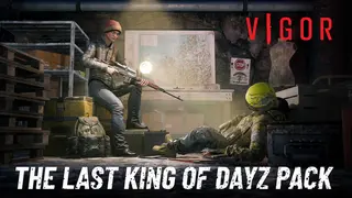Vigor - Last King of DayZ