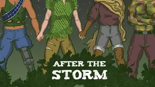After the Storm