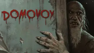 Domovoy