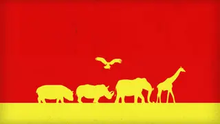 Safari Cannon - Xbox One