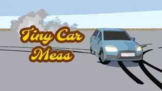 Tiny Car Mess