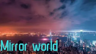 Mirror world