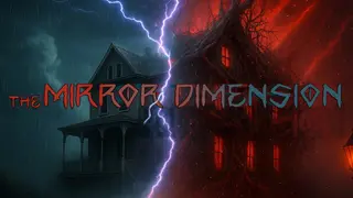 The Mirror Dimension