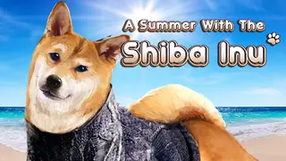 A Summer with the Shiba Inu