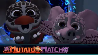 Mutato Match