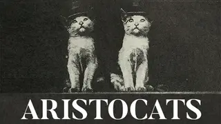 Aristocats (Jigsaw Puzzles)
