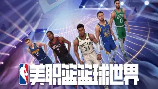 NBA Basketball World