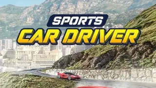 Sports Car Driver - Switch