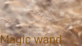 Magic wand