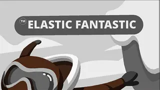 Elastic Fantastic