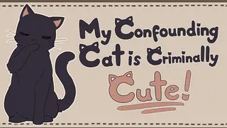 My Confounding Cat is Criminally Cute!