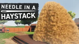 Needle In A Haystack