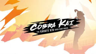 Cobra Kai: The Karate Kid Saga Continues