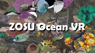 ZOSU Ocean VR