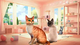 Cat Rescue Story - Xbox One & Series