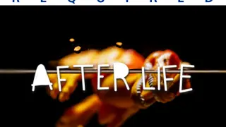Afterlife - PS4