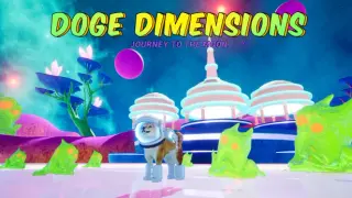 Doge Dimensions
