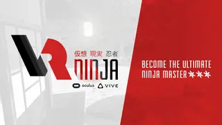 VRNinja
