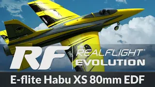 RealFlight Evolution β E-flite Habu XS 80mm EDF