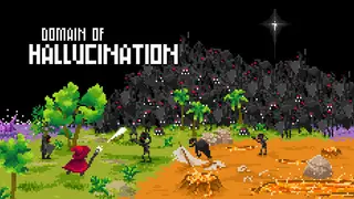 Domain of Hallucination