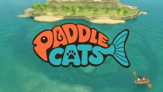 Paddle Cats