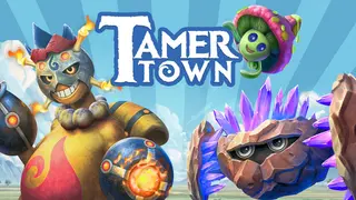 Tamer Town