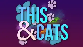 This & Cats