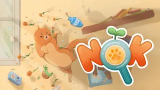 NOK