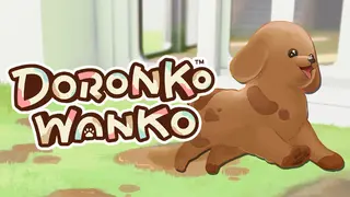 DORONKO WANKO - Toy Poodle