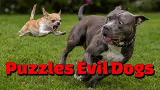 Puzzles Evil Dogs