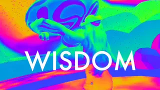 Wisdom