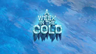 A Week In The Cold