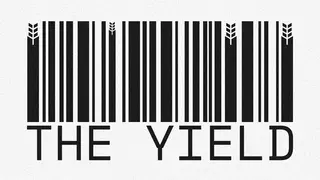 The Yield