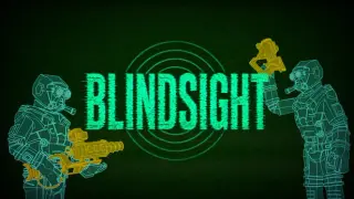 BLINDSIGHT