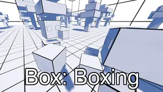 Box:Boxing