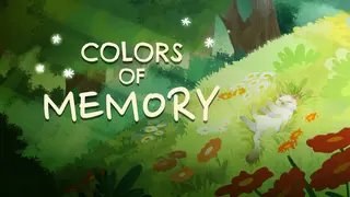 Colors of Memory