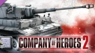 COH 2 - German Skin: (H) Field Applied Whitewash Pattern