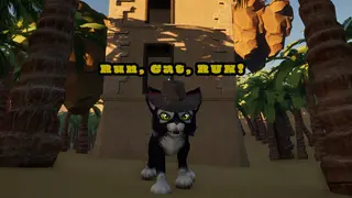 Run, cat, RUN!