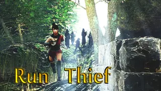 Run Thief