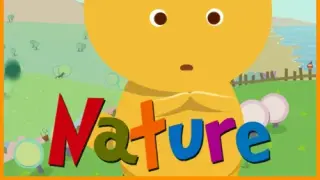 Nature - Switch