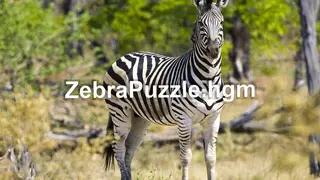 ZebraPuzzle.hgm