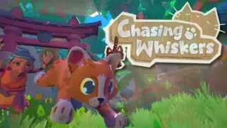 Chasing Whiskers