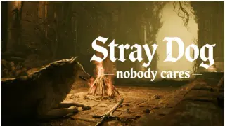 Stray Dog: nobody cares